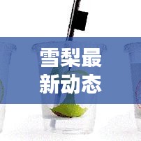 雪梨最新动态更新报道