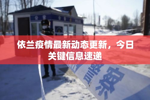 依兰疫情最新动态更新，今日关键信息速递