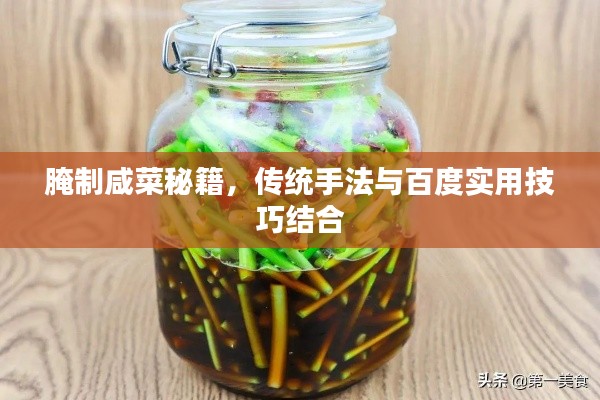 腌制咸菜秘籍，传统手法与百度实用技巧结合
