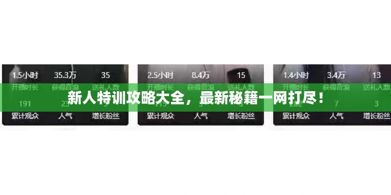 新人特训攻略大全，最新秘籍一网打尽！