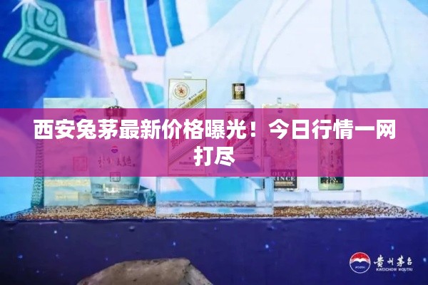 西安兔茅最新价格曝光！今日行情一网打尽