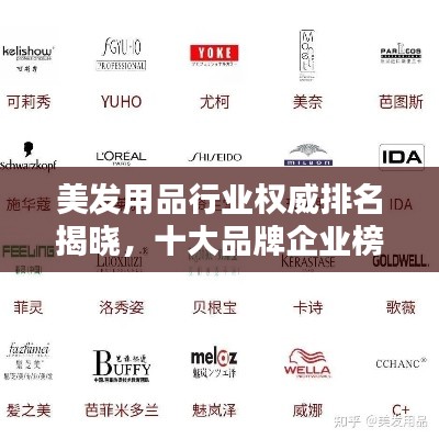 美发用品行业权威排名揭晓，十大品牌企业榜单