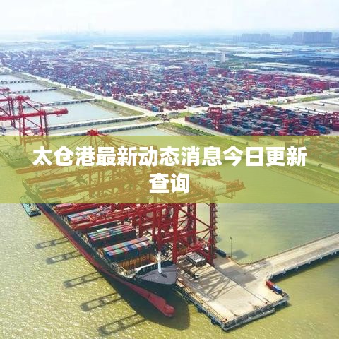 太仓港最新动态消息今日更新查询