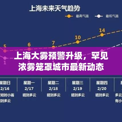 上海大雾预警升级，罕见浓雾笼罩城市最新动态