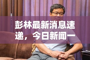 彭林最新消息速递，今日新闻一览无余
