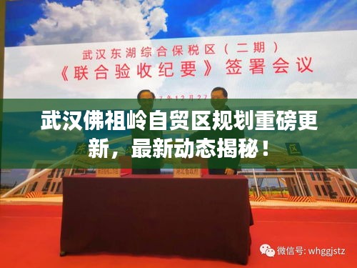 武汉佛祖岭自贸区规划重磅更新，最新动态揭秘！