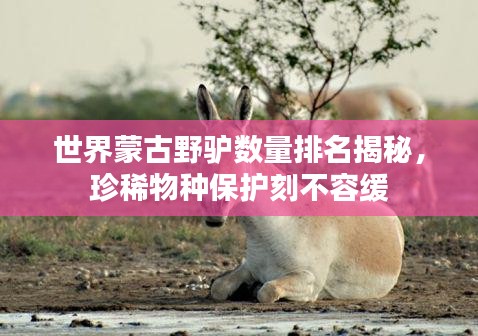 世界蒙古野驴数量排名揭秘，珍稀物种保护刻不容缓