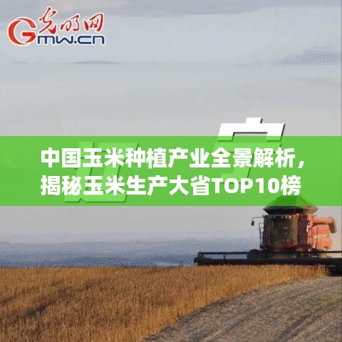 中国玉米种植产业全景解析，揭秘玉米生产大省TOP10榜单