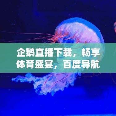 企鹅直播下载，畅享体育盛宴，百度导航带您直达！