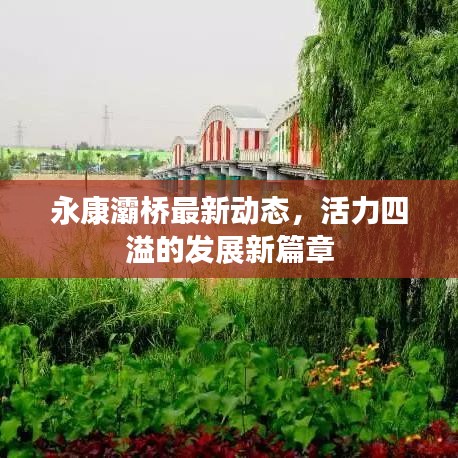 永康灞桥最新动态，活力四溢的发展新篇章
