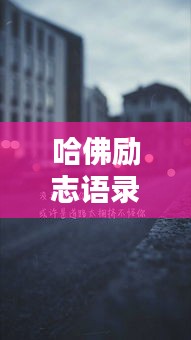 哈佛励志语录，图片的力量不容小觑