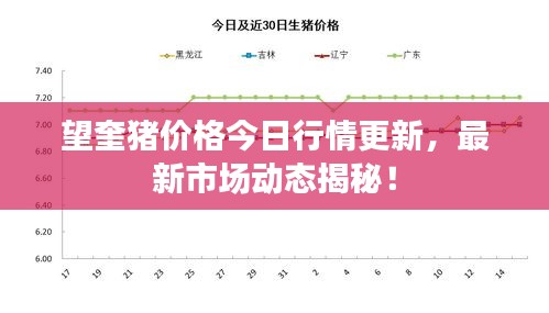 望奎猪价格今日行情更新，最新市场动态揭秘！