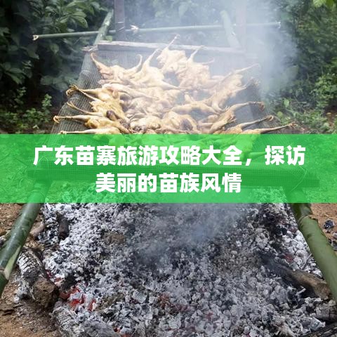 广东苗寨旅游攻略大全，探访美丽的苗族风情