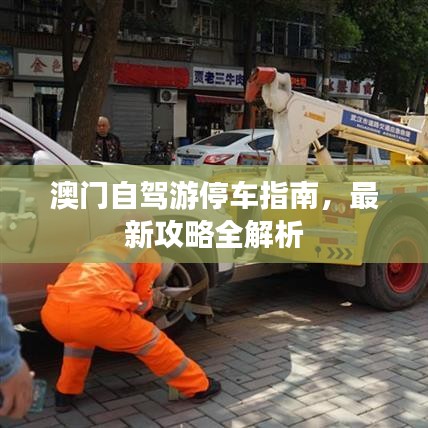 澳门自驾游停车指南，最新攻略全解析
