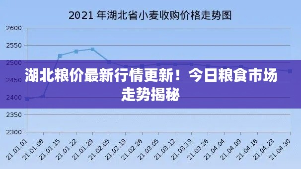 湖北粮价最新行情更新！今日粮食市场走势揭秘