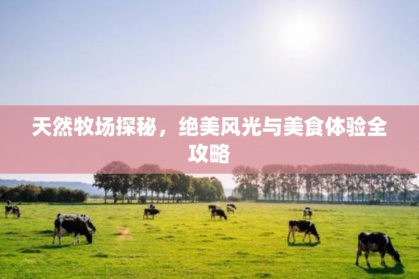 天然牧场探秘，绝美风光与美食体验全攻略