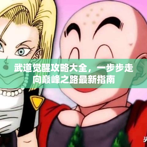武道觉醒攻略大全，一步步走向巅峰之路最新指南