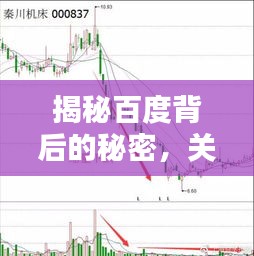 揭秘百度背后的秘密，关于我最懂百度的深入探讨