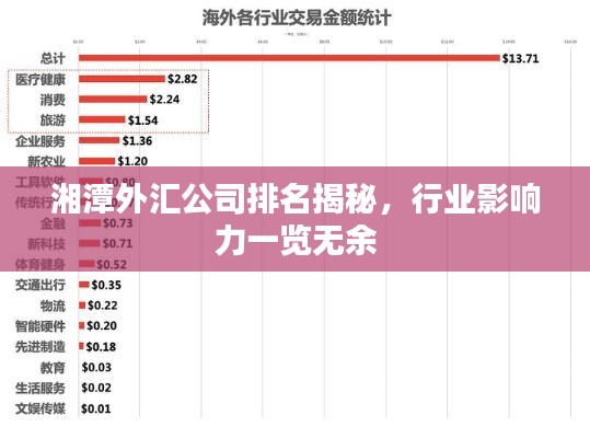 湘潭外汇公司排名揭秘，行业影响力一览无余