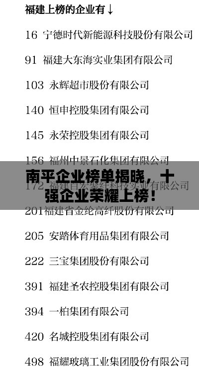 南平企业榜单揭晓，十强企业荣耀上榜！