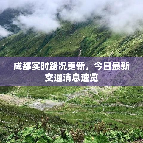 成都实时路况更新，今日最新交通消息速览