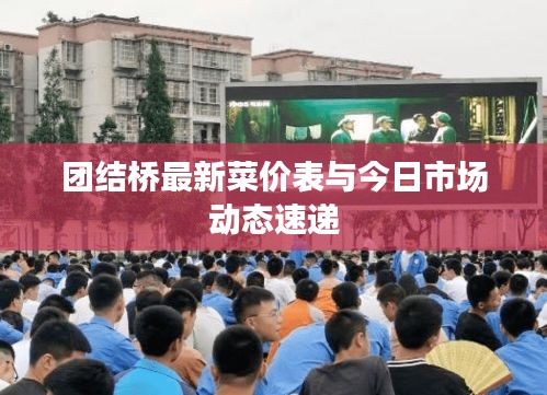 团结桥最新菜价表与今日市场动态速递