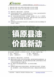 镇原县油价最新动态解析，今日油价一览