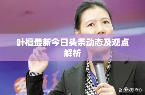 叶檀最新今日头条动态及观点解析