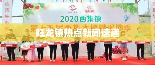 旺龙镇热点新闻速递
