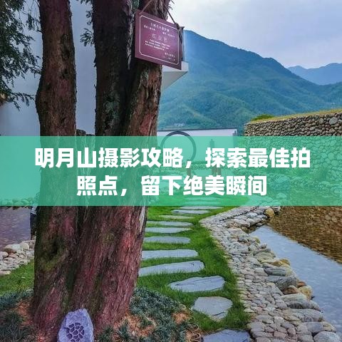 明月山摄影攻略，探索最佳拍照点，留下绝美瞬间
