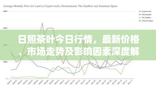 日照茶叶今日行情，最新价格、市场走势及影响因素深度解析