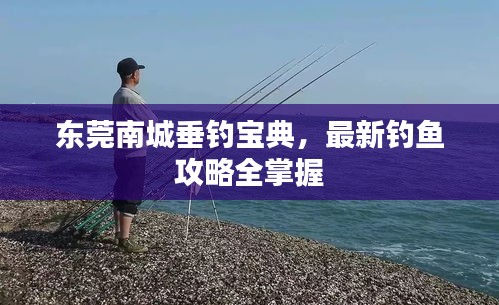 东莞南城垂钓宝典，最新钓鱼攻略全掌握