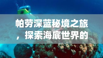 帕劳深蓝秘境之旅，探索海底世界的神秘攻略