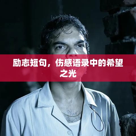 励志短句，伤感语录中的希望之光