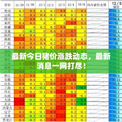 最新今日猪价涨跌动态，最新消息一网打尽！
