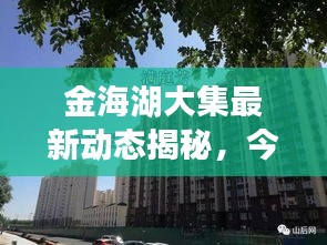 金海湖大集最新动态揭秘，今日消息一网打尽！