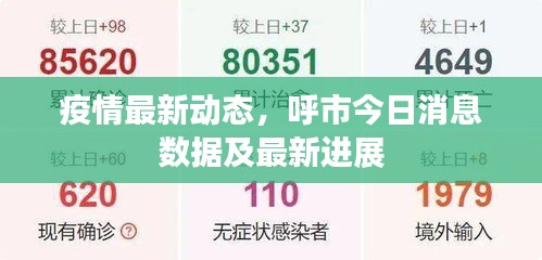 疫情最新动态，呼市今日消息数据及最新进展