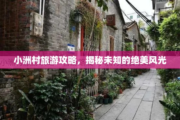 小洲村旅游攻略，揭秘未知的绝美风光
