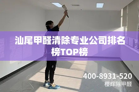 汕尾甲醛清除专业公司排名榜TOP榜