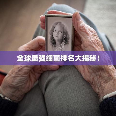 案例见证 第33页