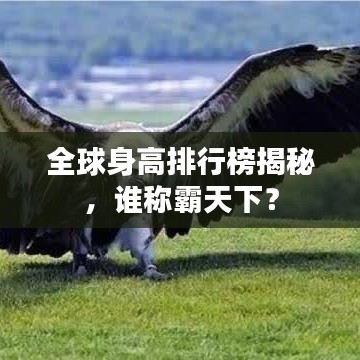全球身高排行榜揭秘，谁称霸天下？