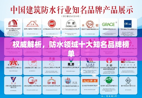 权威解析，防水领域十大知名品牌榜单