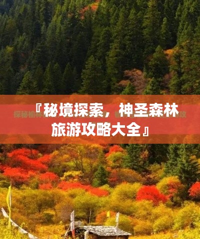 『秘境探索，神圣森林旅游攻略大全』