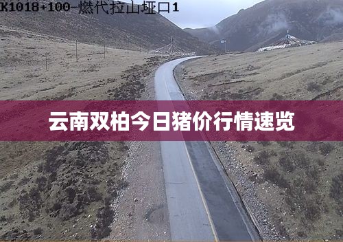 云南双柏今日猪价行情速览