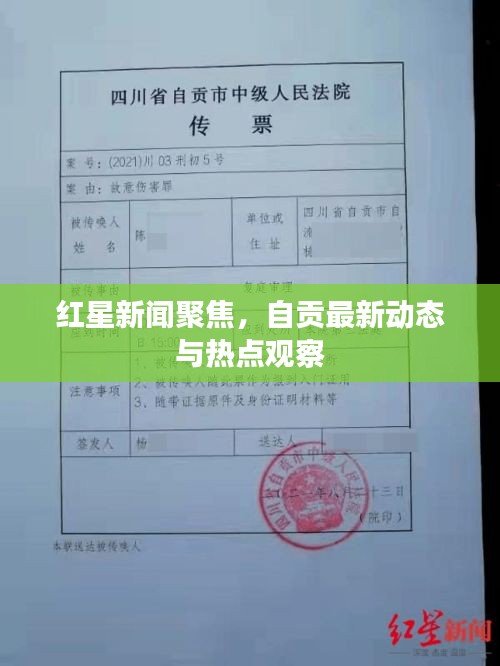 红星新闻聚焦，自贡最新动态与热点观察