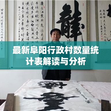 最新阜阳行政村数量统计表解读与分析