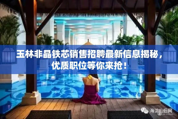 玉林非晶铁芯销售招聘最新信息揭秘，优质职位等你来抢！