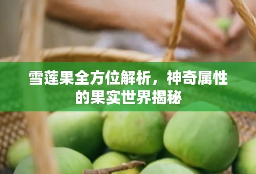 雪莲果全方位解析，神奇属性的果实世界揭秘