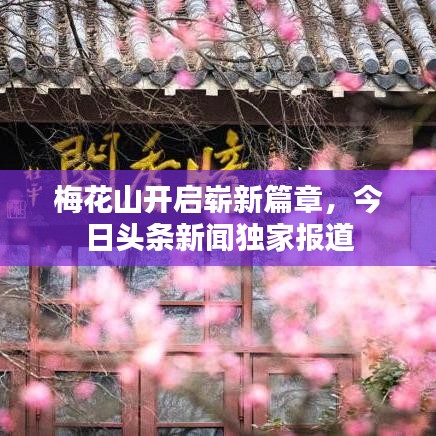 梅花山开启崭新篇章，今日头条新闻独家报道