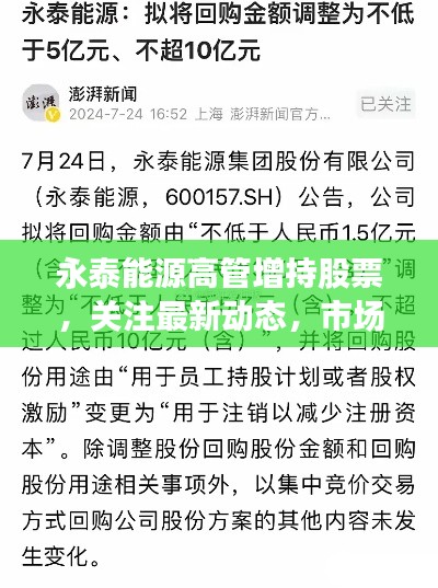 永泰能源高管增持股票，关注最新动态，市场反应积极！